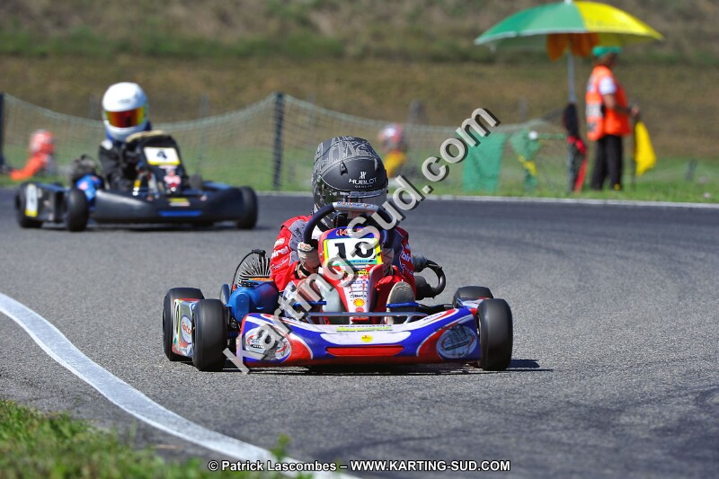 DSC_ (1564).jpg